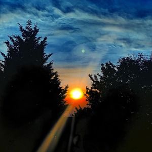 Meet your Posher, Elisabeth